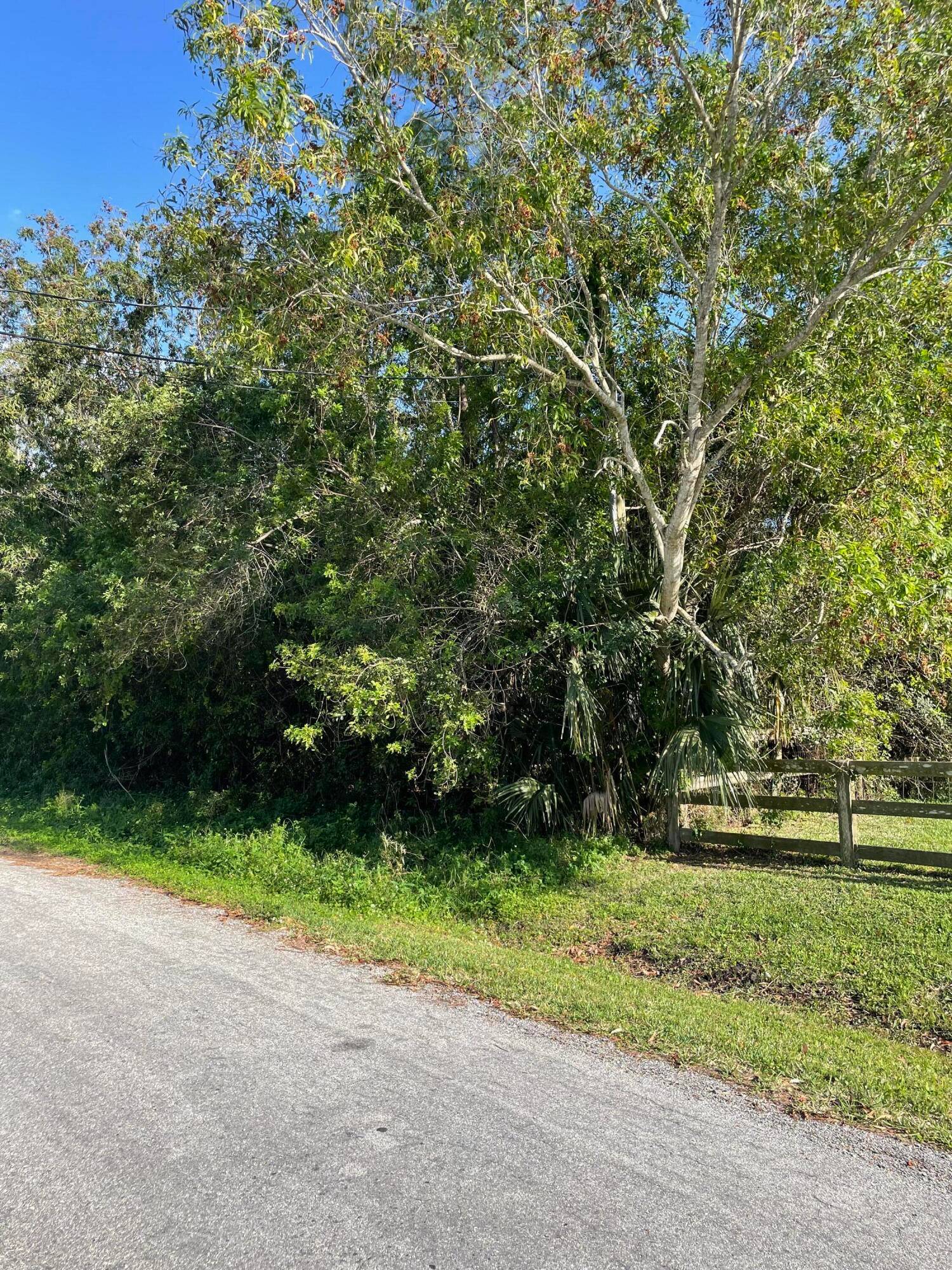 BUILD YOUR DREAM HOME ON THIS NICE HIGH AND DRY LOT.
