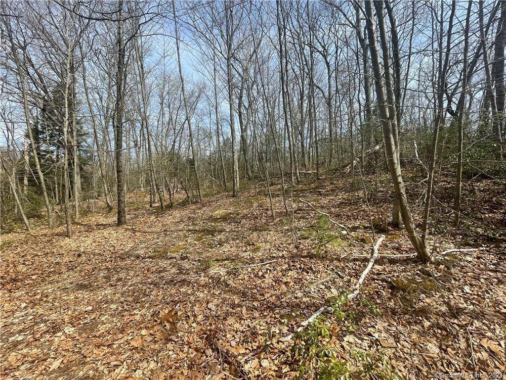 Incredible Opportunity in Wilton 41 Acres.