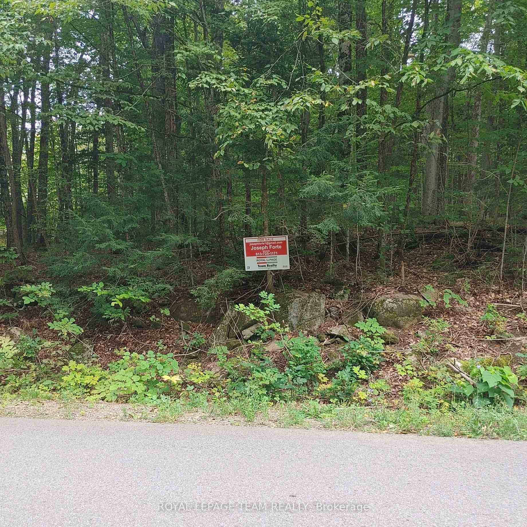 Build your dream home on this stunning, tree filled lot just outside the City of Arnprior.