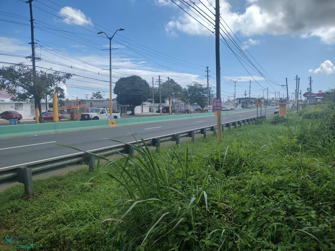 CARR #2 Land Vega-Baja