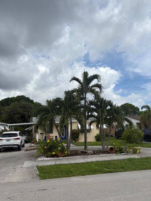 Huge tropical yard with fruit trees.
