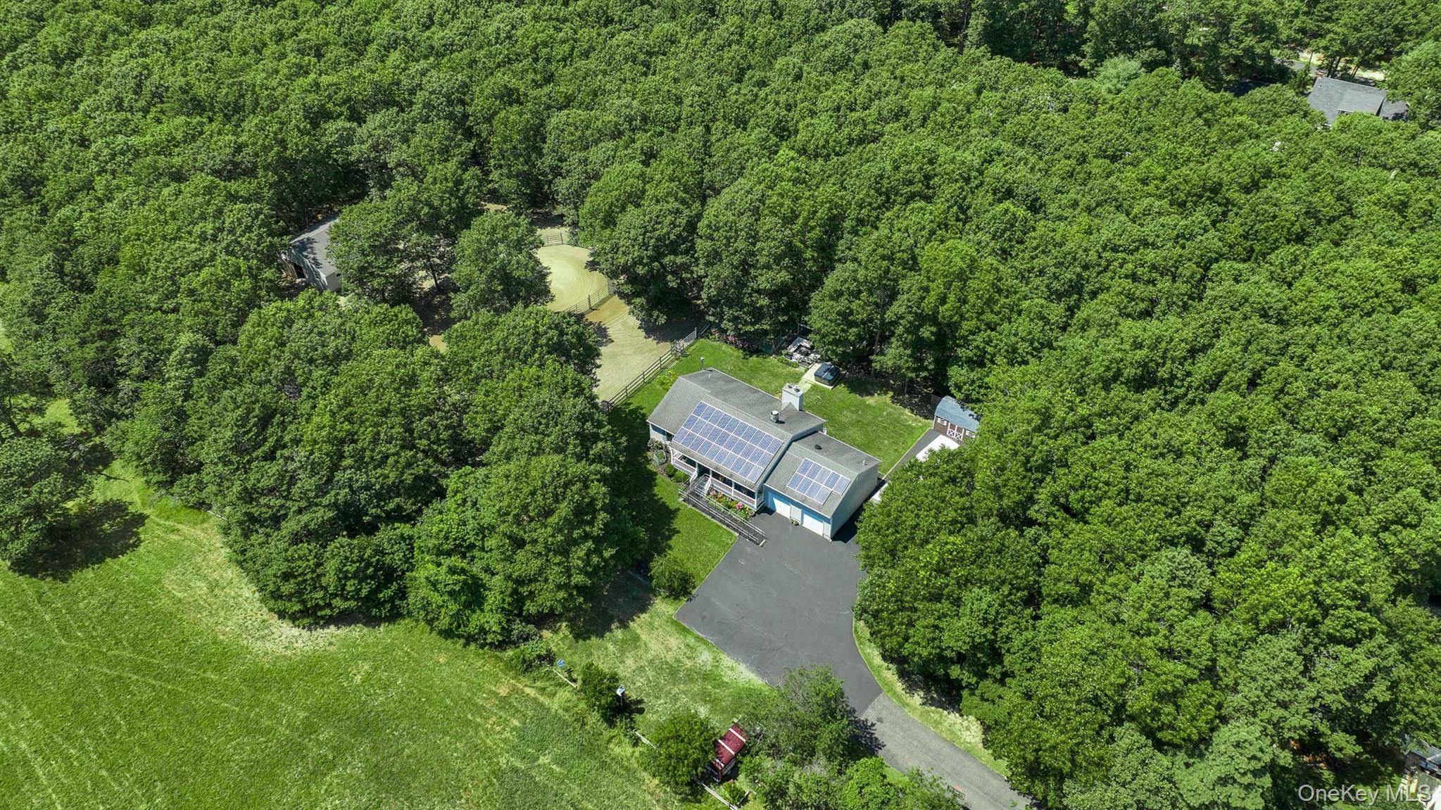 Welcome to Wild Wind Farm, Your Dream Equestrian Retreat !