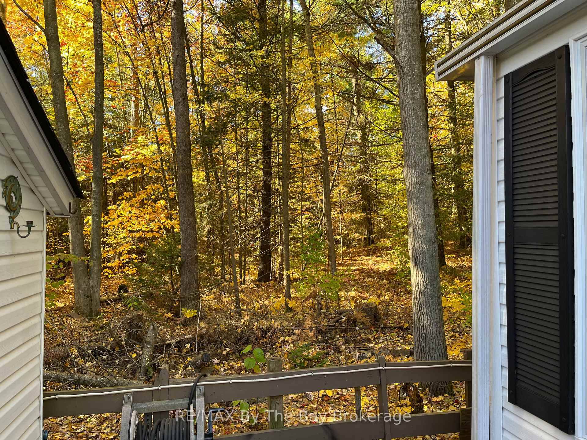 Northlander Cottager nestled within the serene beauty of Wasaga CountryLife Resort.