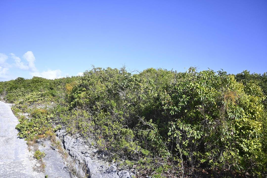ALABASTER BAY ACREAGE Land Eleuthera