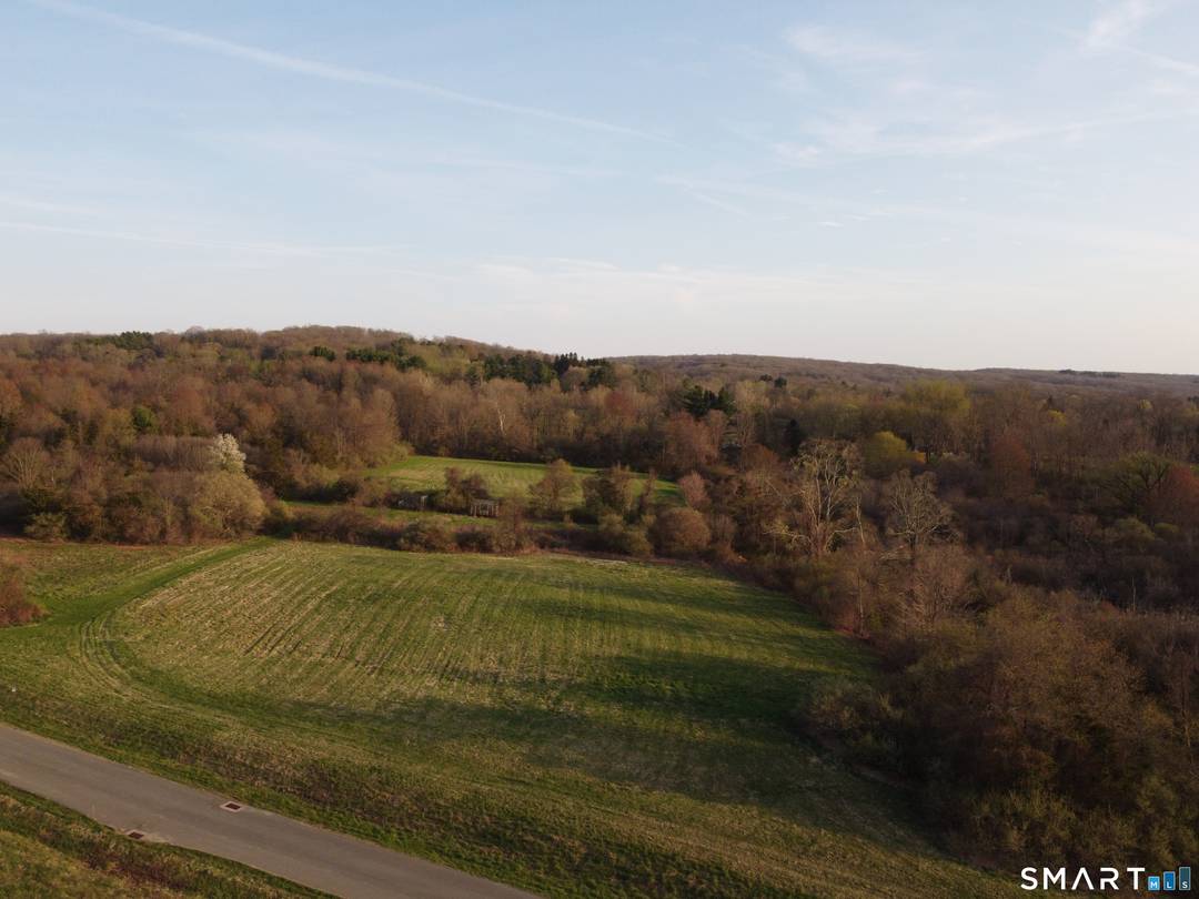 Welcome to Willow Brook Drive !