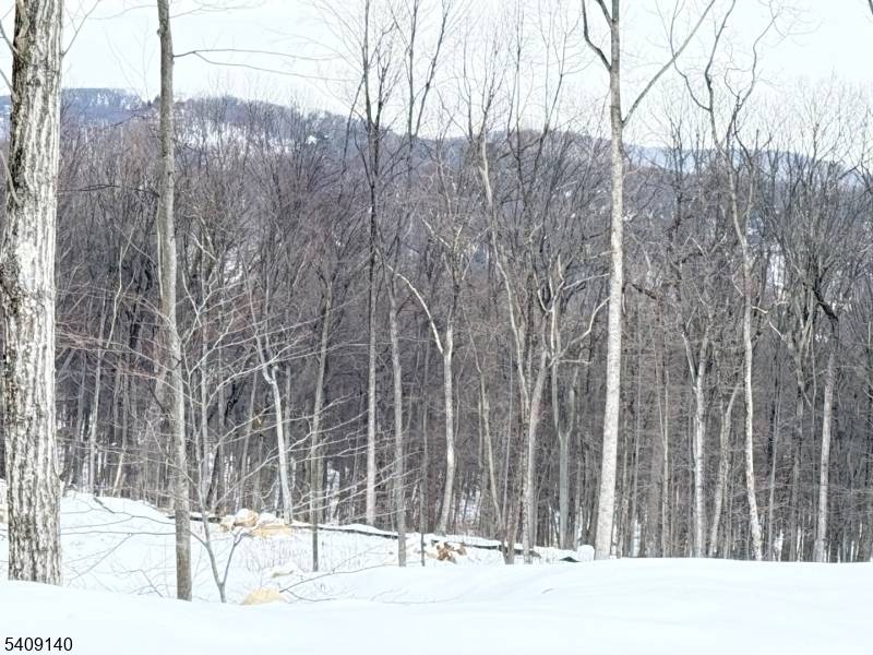 This is your chance to build your dream home in Boonton Township !