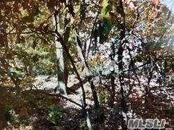 Build your forever home. Great site for exposed back foundation with walk out to backyard.