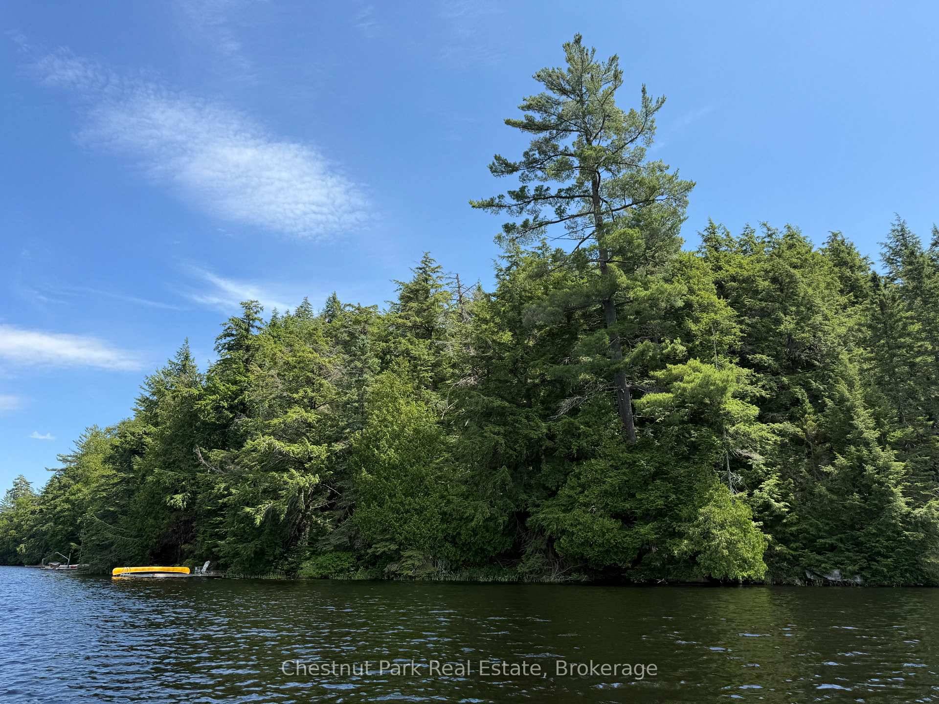 Cache Lake, Algonquin Park leasehold for sale.