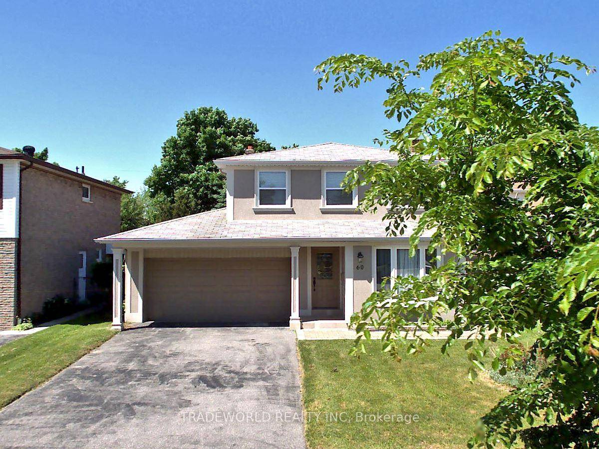 Basement For Rent Only Close To All Amenities School, Shopping Mall, TTC, Supermarket amp ; Restaurants