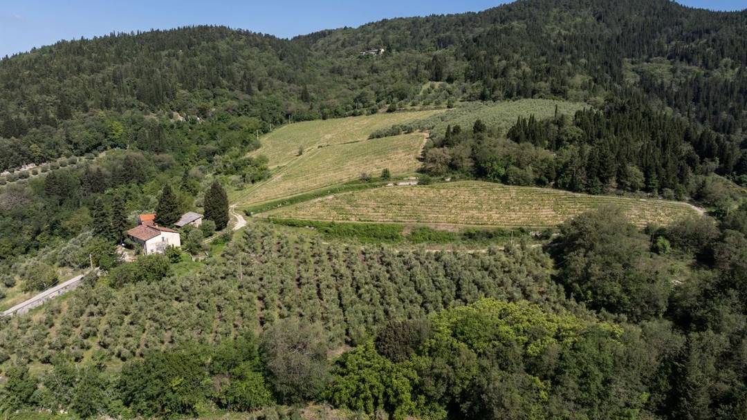 Organic estate in Chianti Rufina with vineyards, olive groves, a historic farmhouse and several farmhouses in need of renovation; DOCG wine production