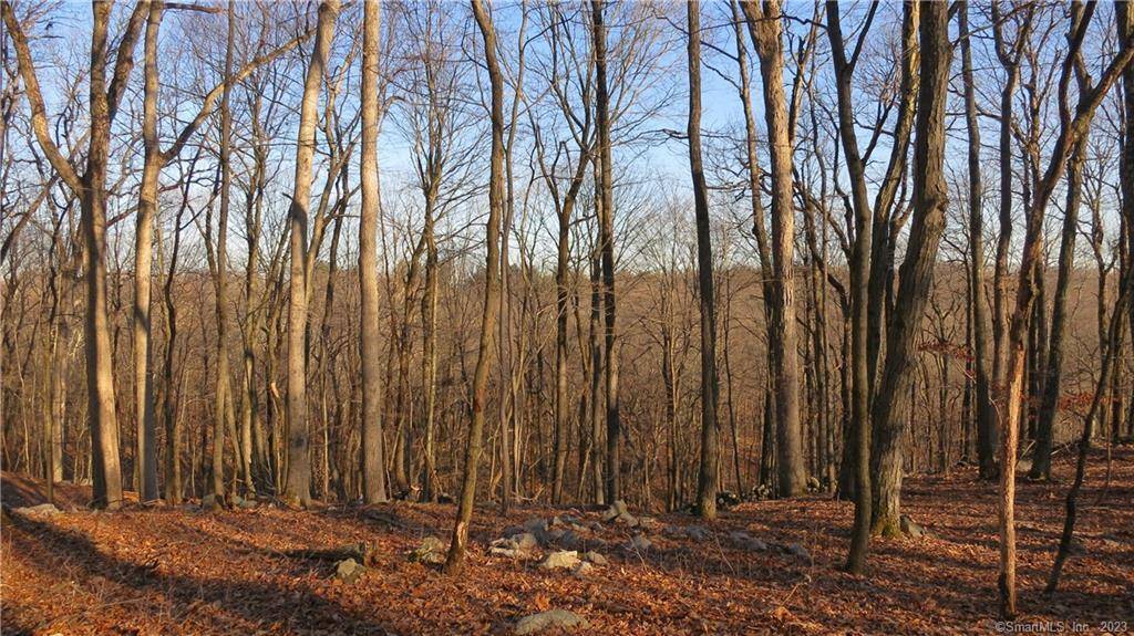 Exceptional land on scenic Umpawaug Rd.