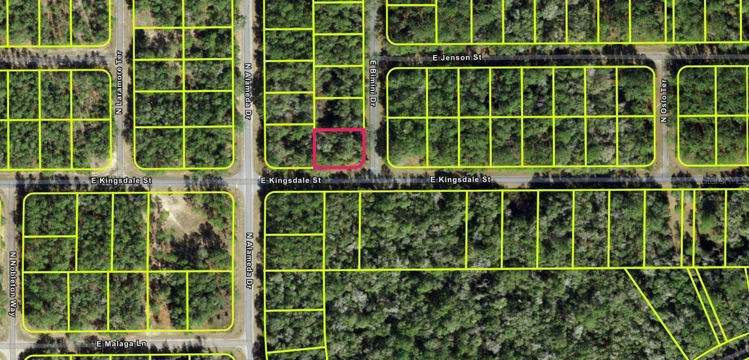 Prime Buildable Lot in Growing Citrus Springs !