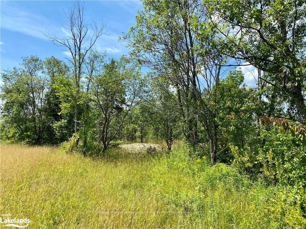 Escape to Nature 33 Acres of Tranquility Near Loring amp ; Port Loring.