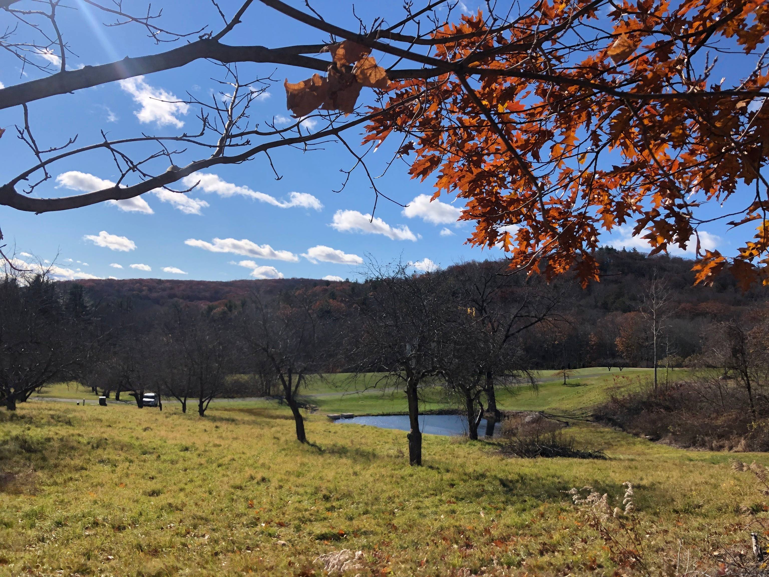 Be sure to check out this one of a kind opportunity for to be built new construction in the peaceful town of Hartland.