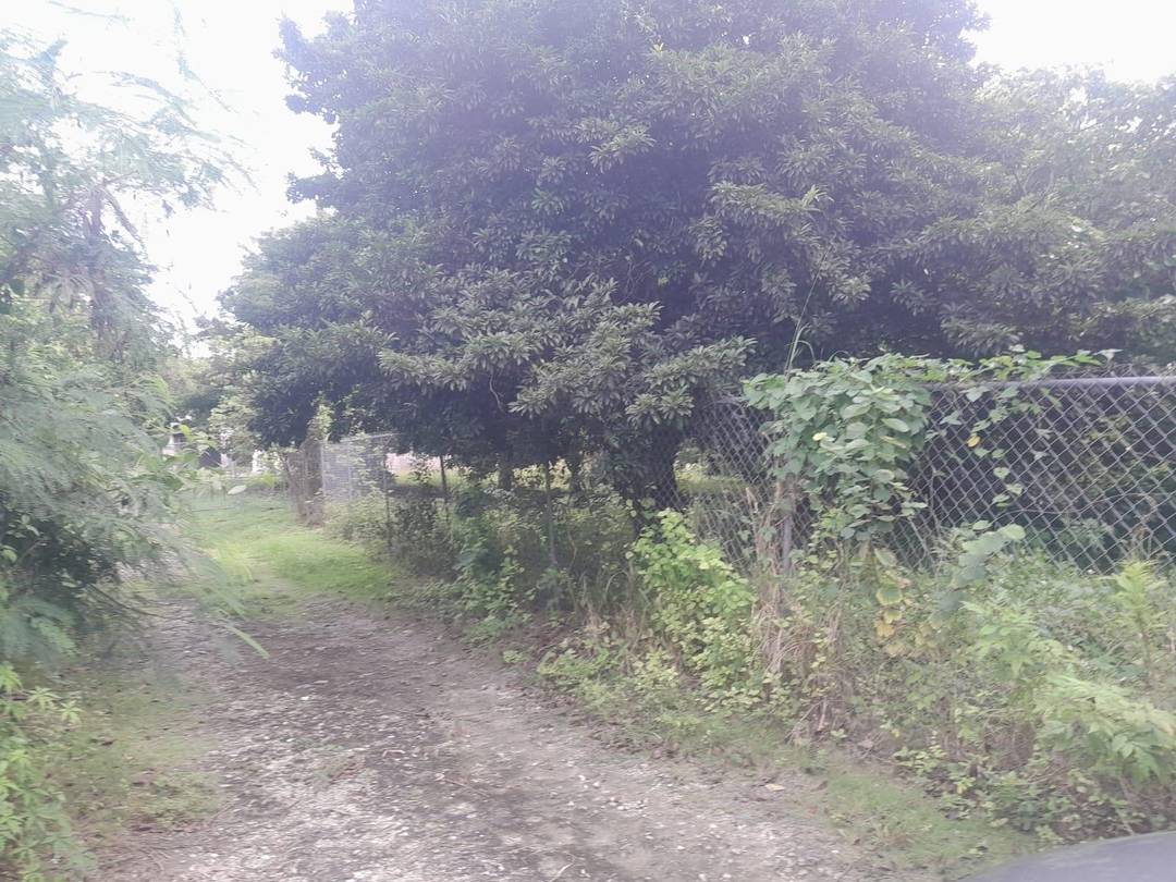 LOT 8 & 10 FERGUSON VILLA Land New-Providence