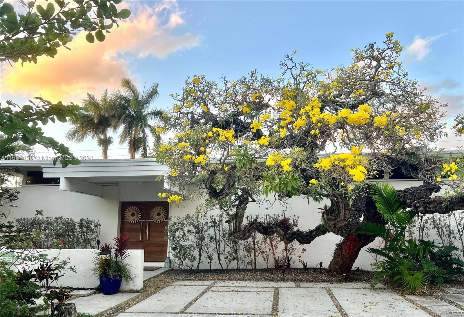 Welcome to your dream oasis !