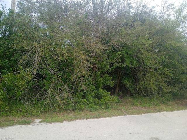Come build your dream home in Lehigh Acres !