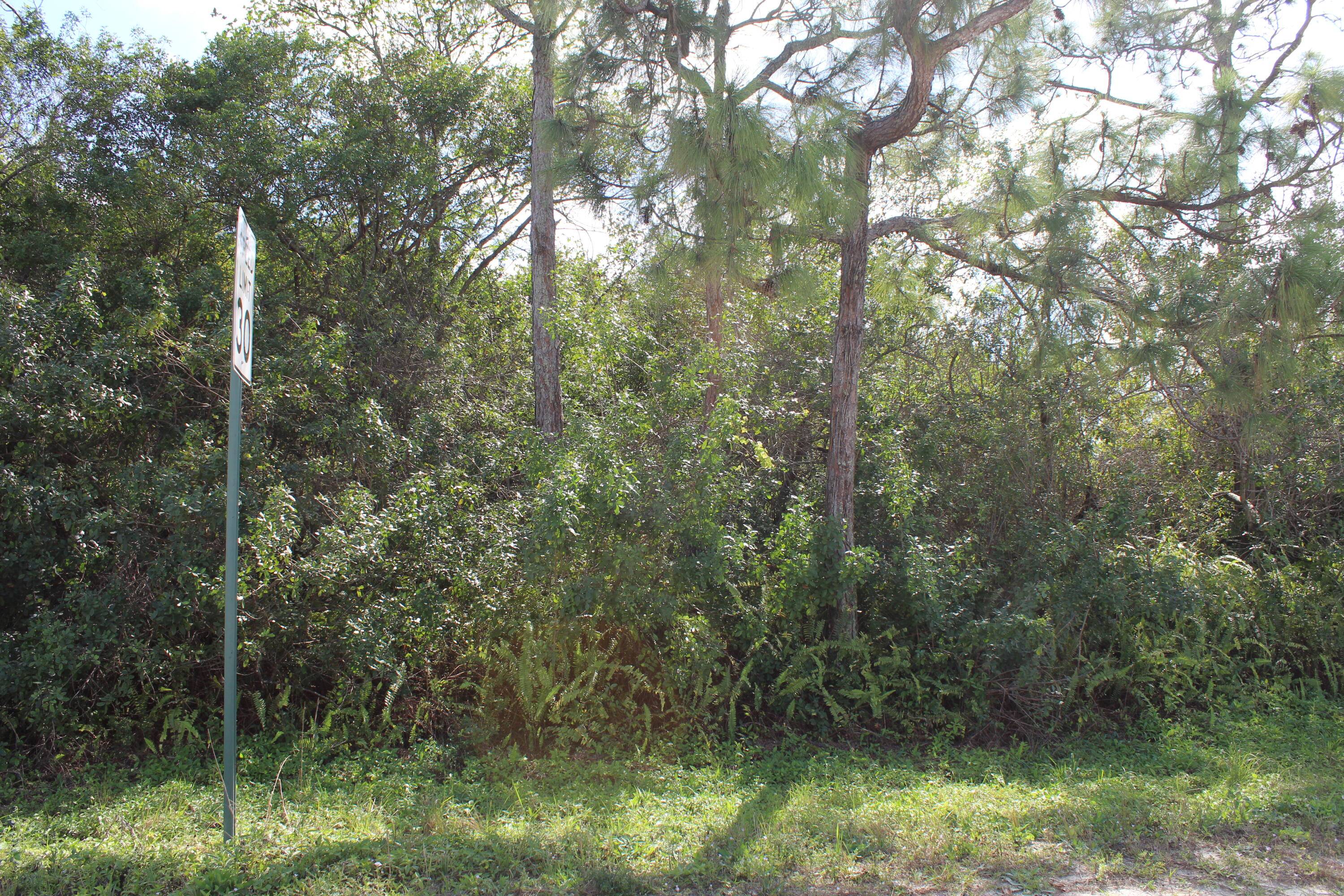 Another fantastic lot ! Located on the corner of 180th and 94th St.