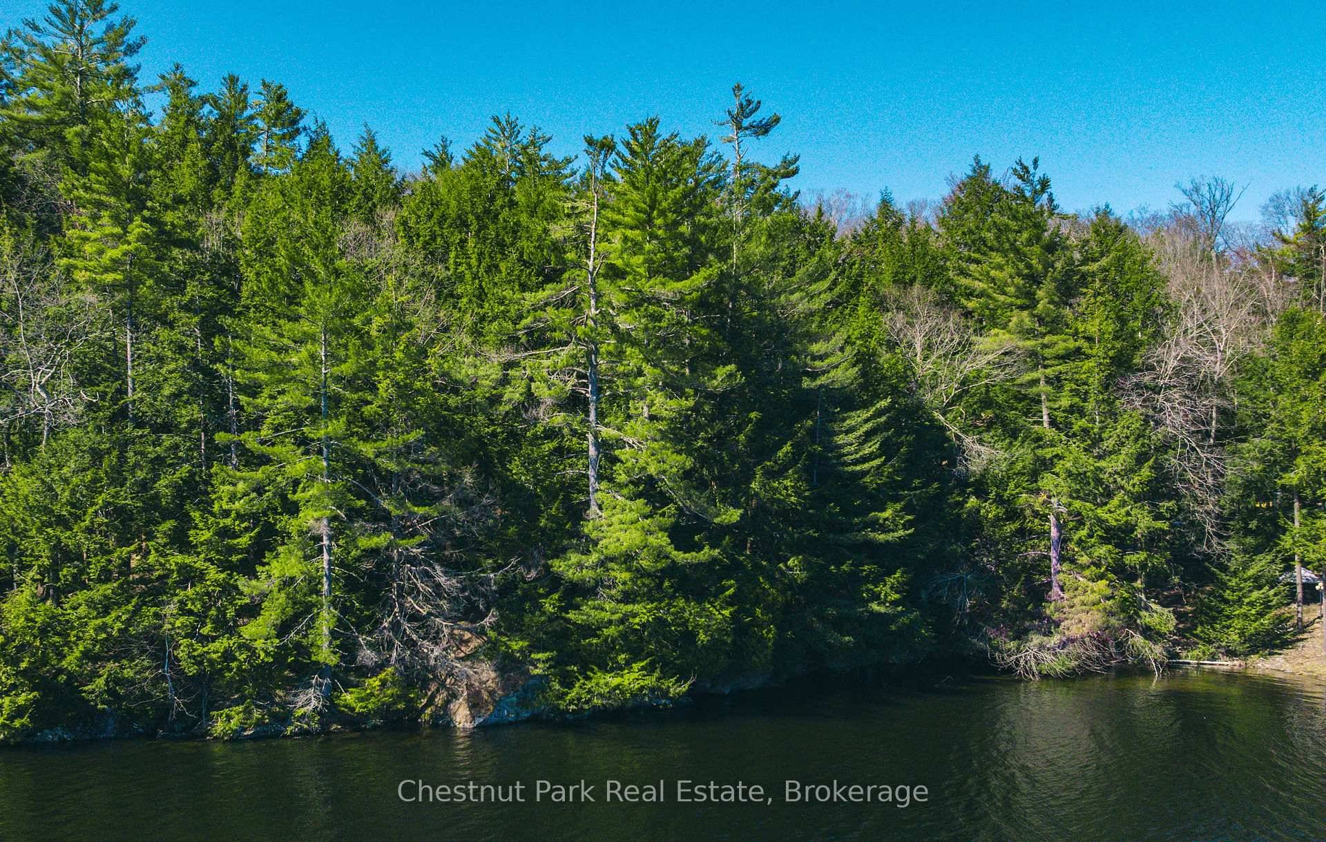 Rare Lake Muskoka development opportunity !