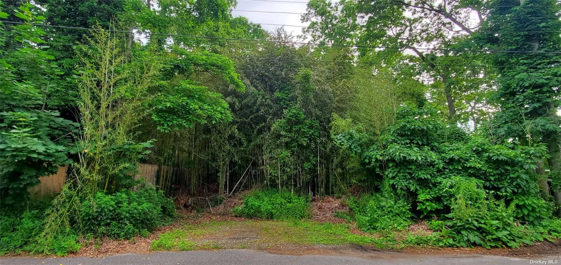 Single and Separate, Survey Available, Quiet Street Near The Bay, seller will entertain offer subject to permits