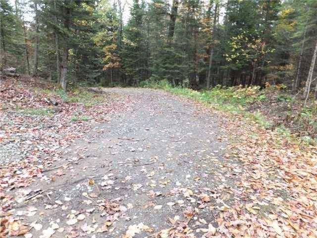 Own a piece of paradise in Haliburton.