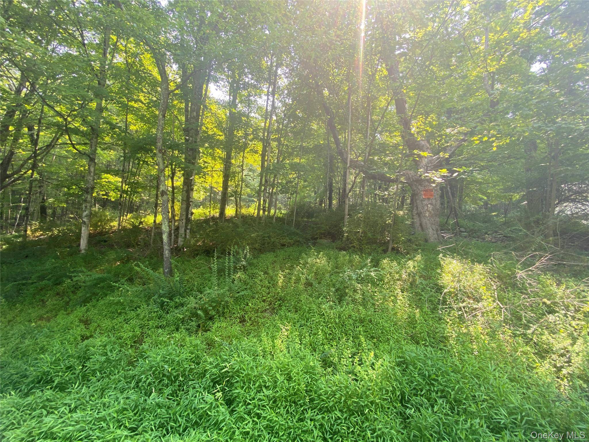 Prime 56. 9 Acre Parcel Near Bashakill Wildlife Refuge Endless Possibilities Await !