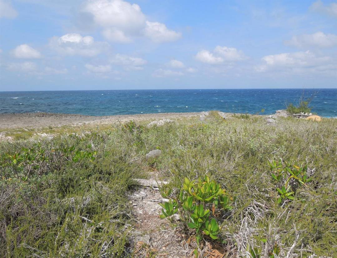 WHALE POINT ESTATES Land Eleuthera