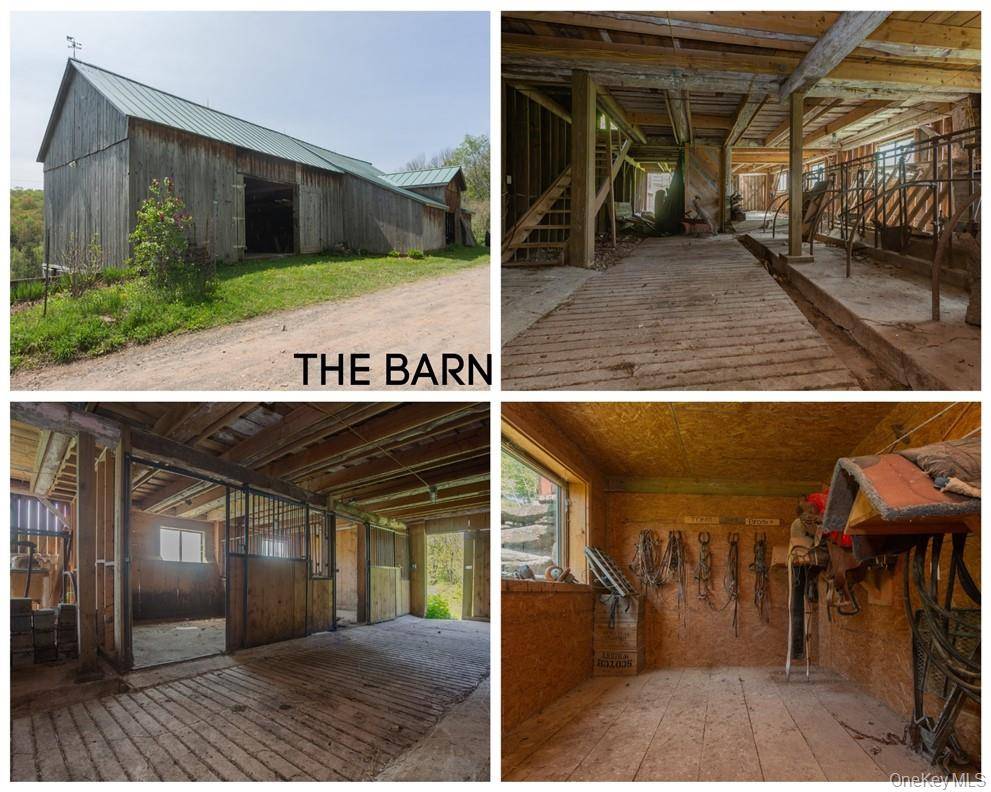 Own Paradise. At the end of a town maintained dead end road in the Catskills is The Odell Farm, 335 splendid acres of forest, meadows, pond, and stream adjoining thousands ...