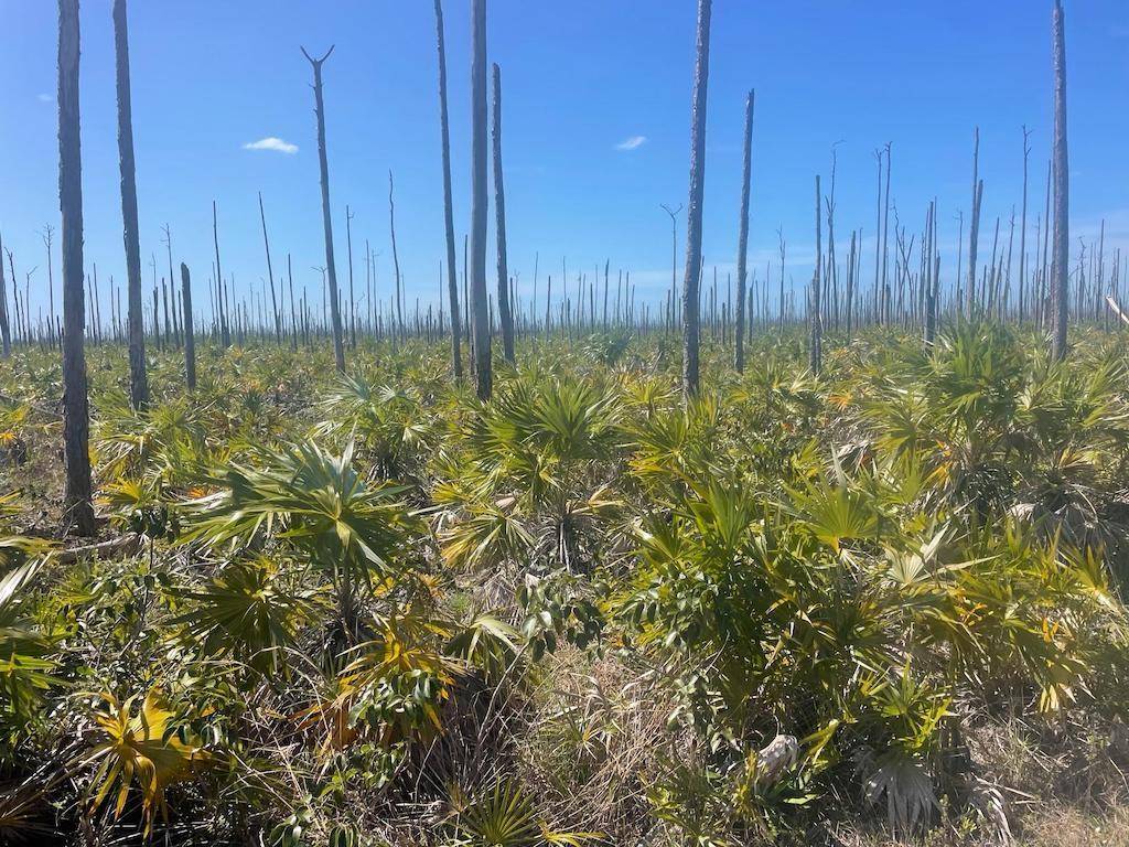 LUCAYA ESTATES LOT Land Grand-Bahama-Freeport