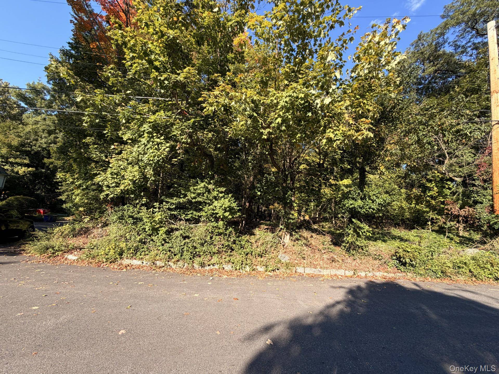 Exceptional Opportunity to Build Your Dream Home in a desirable and sought after location !