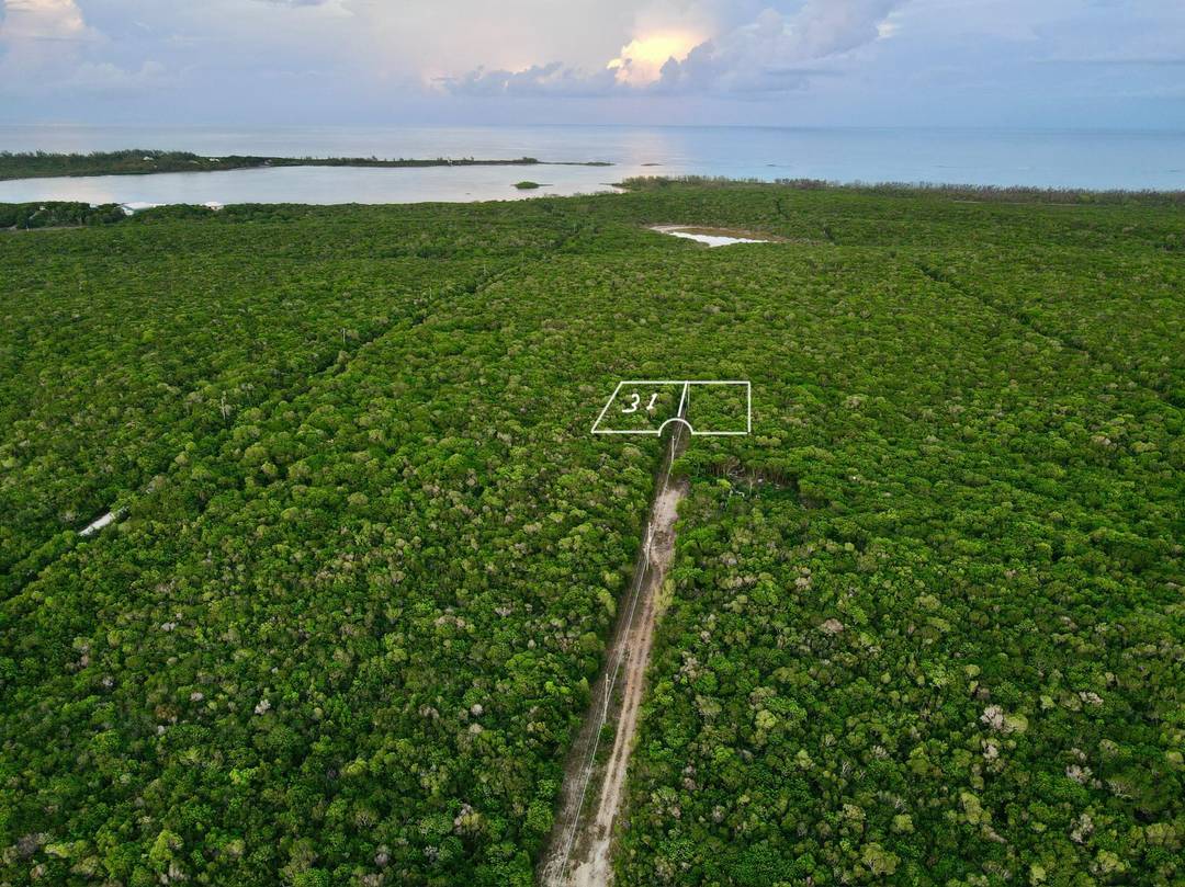 TARPUM BAY LOT# 31 ELEUTH Land Eleuthera