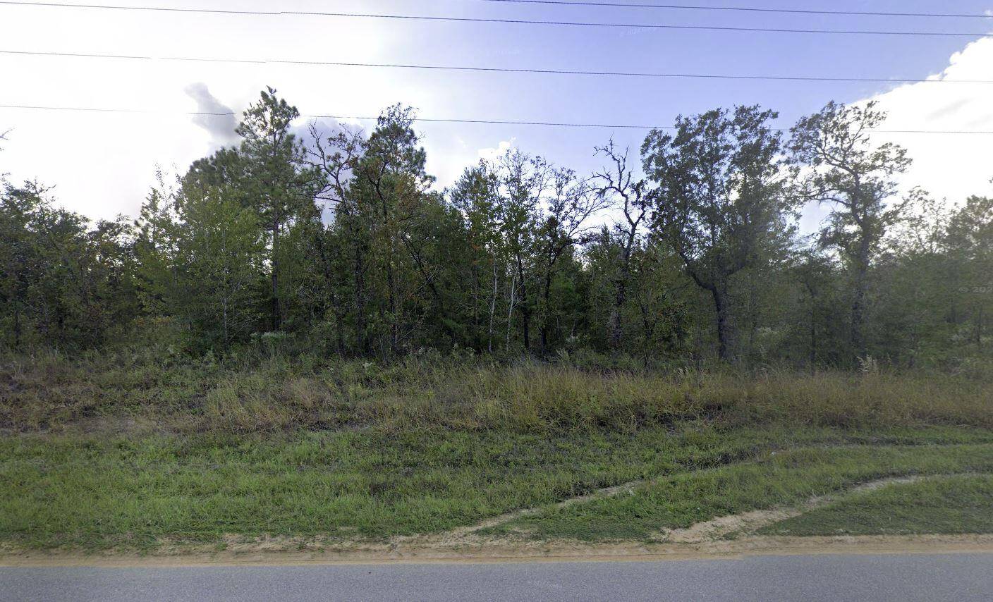Vacant Lot on Paved Road Putnam County, FL Opportunity awaits with this vacant lot located in Interlachen Lakes Estates on a paved road a rare find in this area !