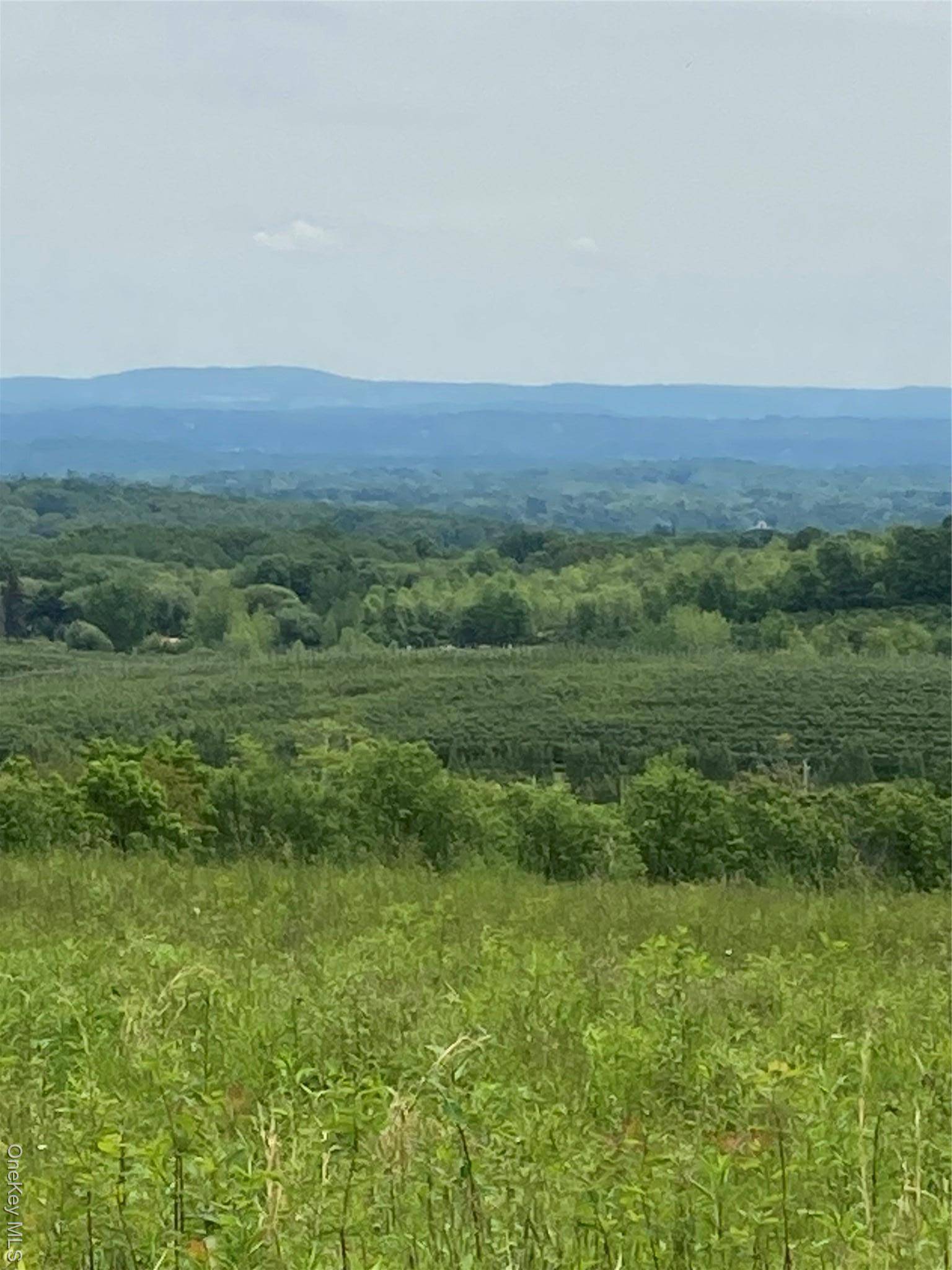 One Beautiful Apple Orchard with Pond.