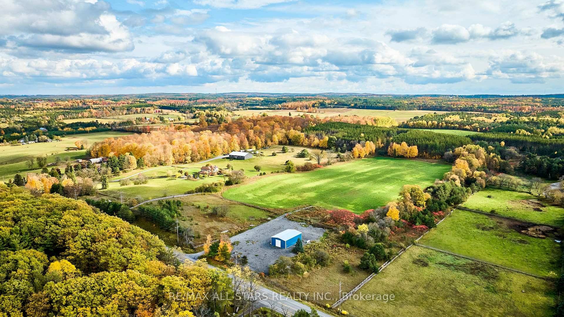 DREAM HOME SITE ! ! Superb GENTLY ROLLING 75 Acre Parcel Offering 28 Acres of Currently Farmed Land, a Towering Pine Plantation, Plus a Scenic Hardwood Forest and Open Meadow.