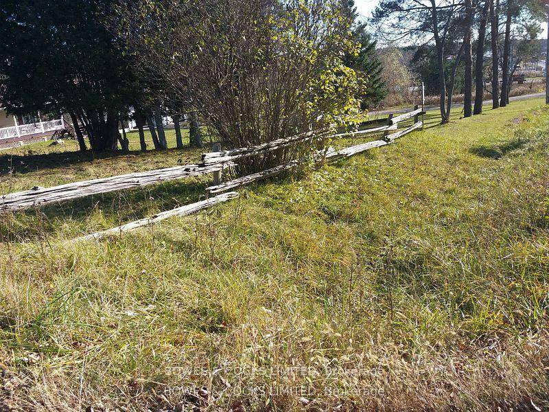 Level lot at the edge of Coboconk, surrounded by beautiful lakes and rivers.