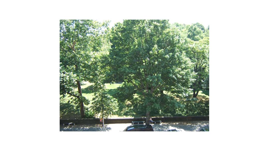 Put down roots on the Central Park West this Spring !