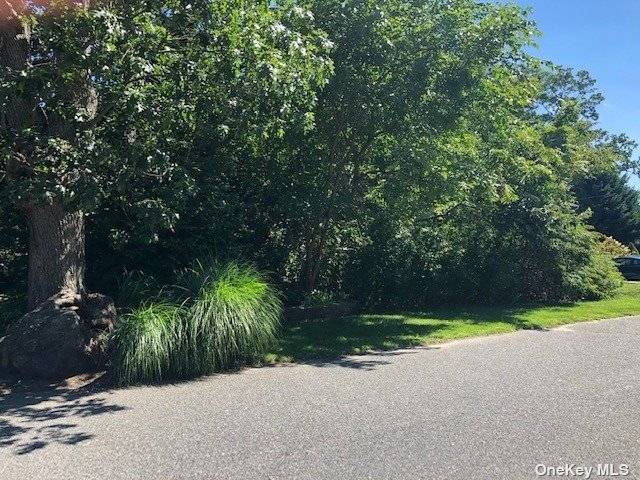 Sprawling greenery 50x200 property set on tree lined residential block.