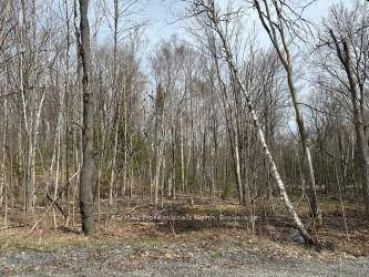 3. 53 Acres at the corner of Silverwood Road and Porky's Road.