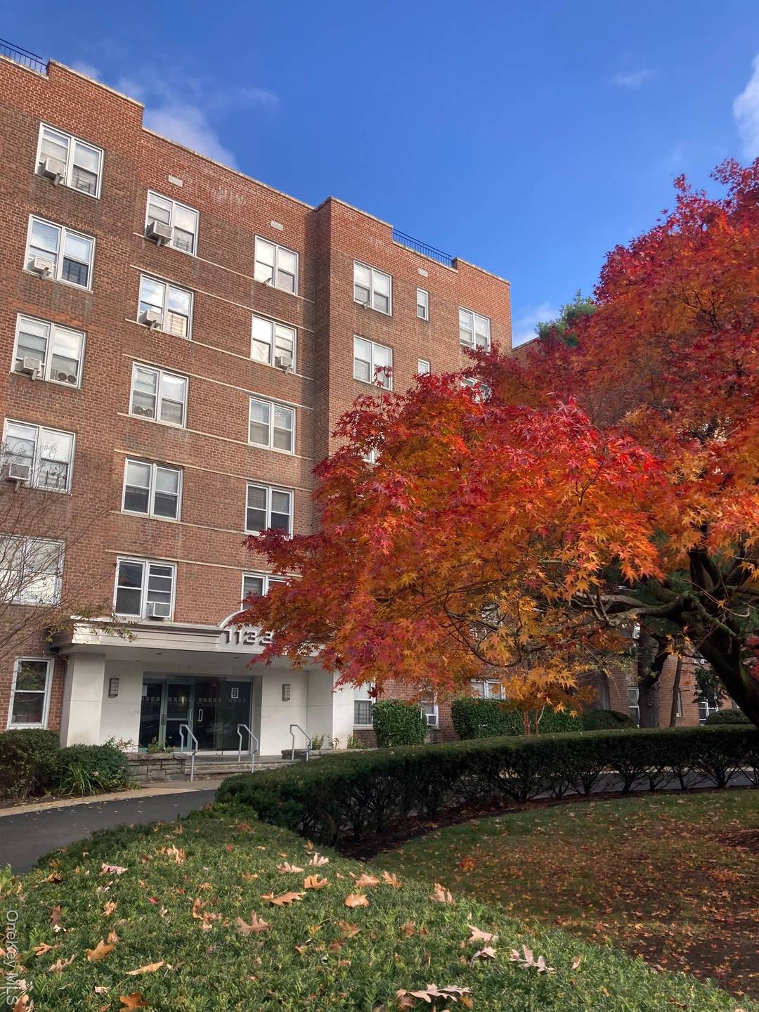 Must see renovated Sponsor condo units in Bronxville PO.