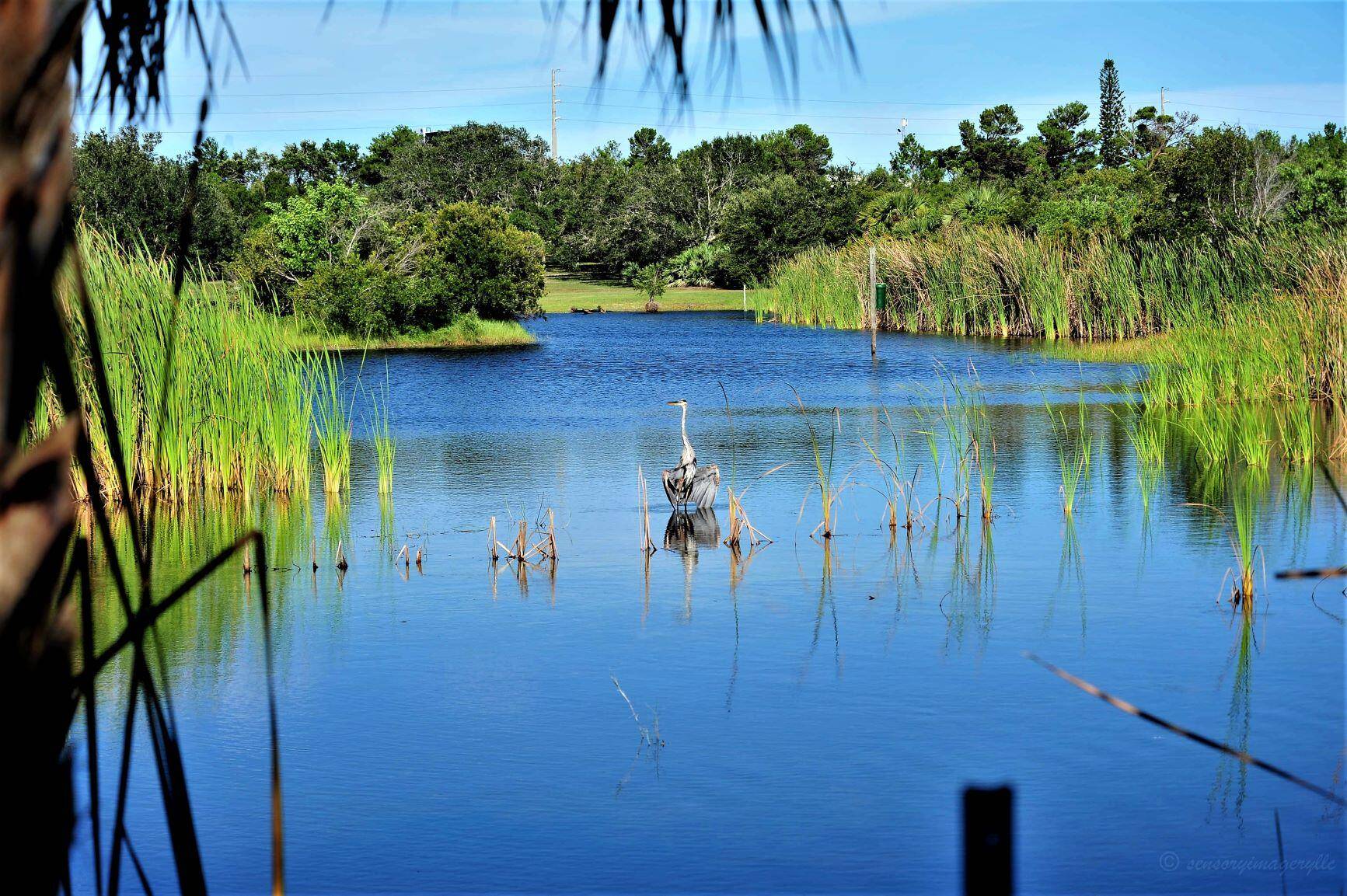 Heaven on earth has been found ; your dream property !