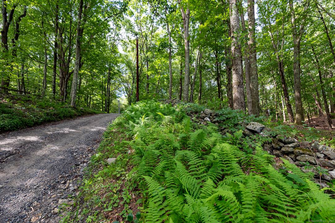 Peaceful 8. 2 acre parcel located on a scenic, quiet road in Roxbury.