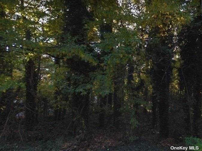 Commercially Zoned Property, 40'X100' In Size.