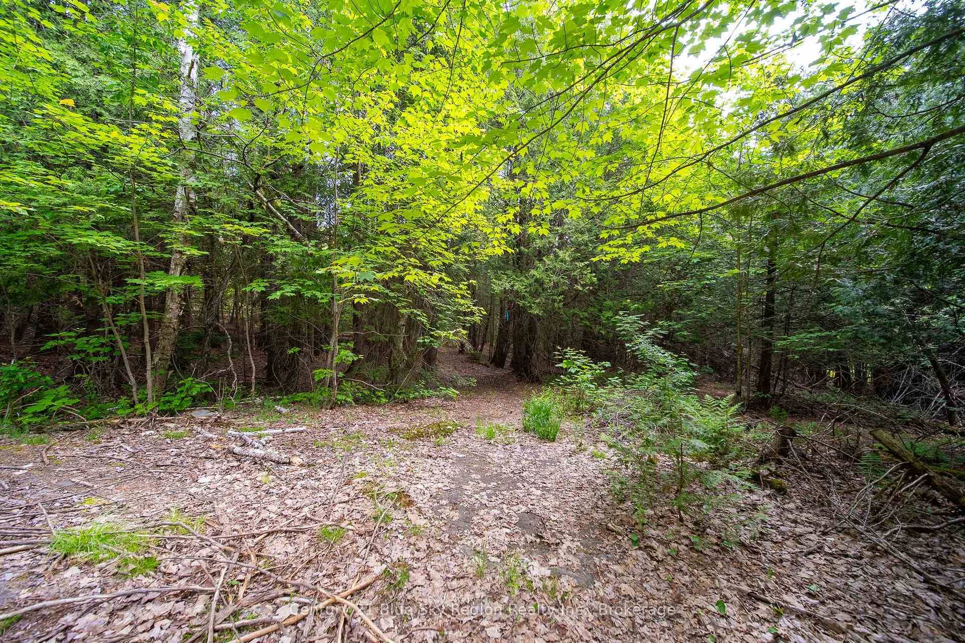 82 acre Industrial vacant lot has plenty of permitted uses.