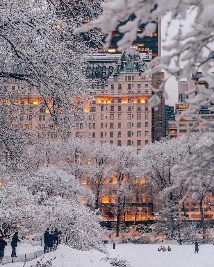 With breathtaking Central Park views and a grand layout, Apartment 1601 is a stunning 2, 656 square foot 3 bedroom, 3.