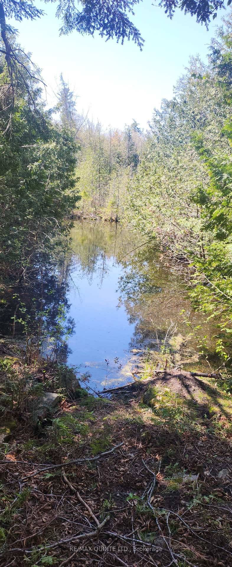 Terrific ONE ACRE Building Lot on OAK LAKE.