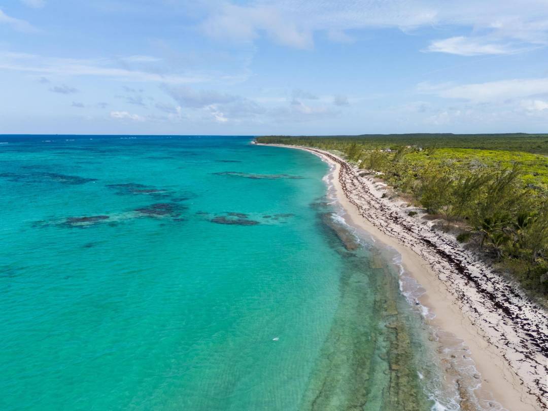 CAT ISLAND Land Cat-Island