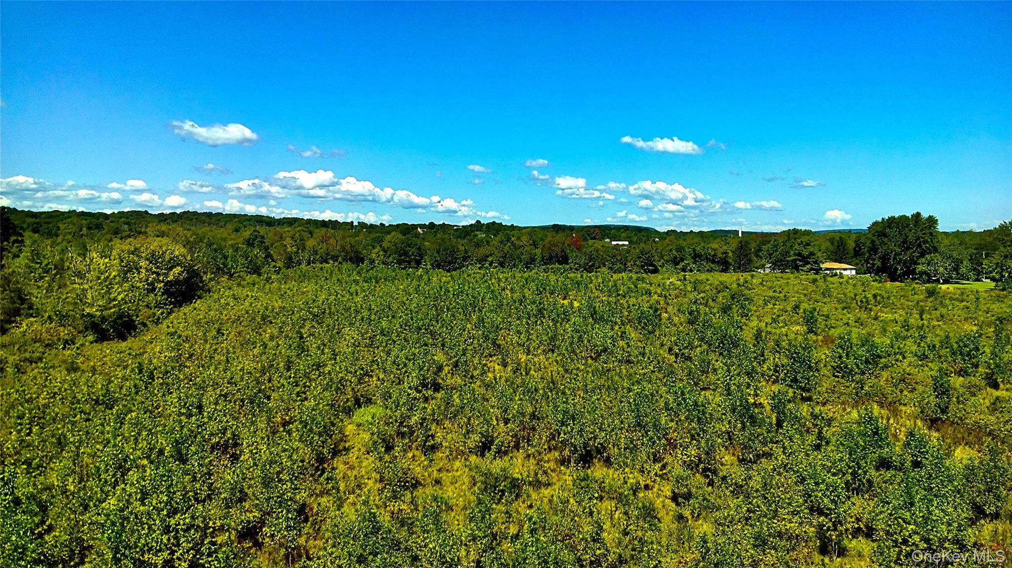 28 Acres of Prime Farmland in Athens, NY Discover 28 level acres of prime, developable farmland in the heart of Athens, Greene County, just minutes from the Hudson River, Catskill, ...