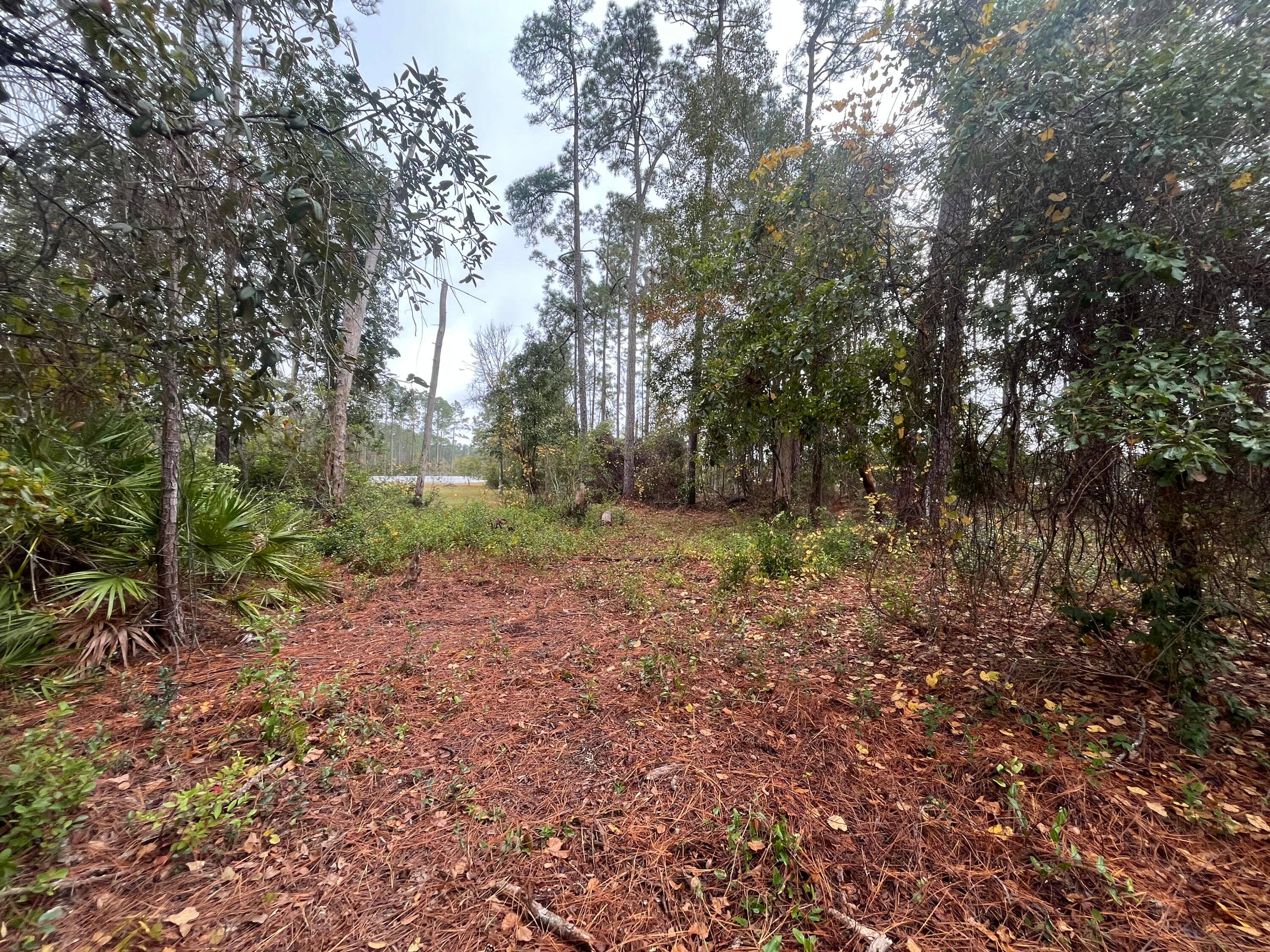 FINANCING AVAILABLE. Escape to the sounds of nature and gorgeous lake views.