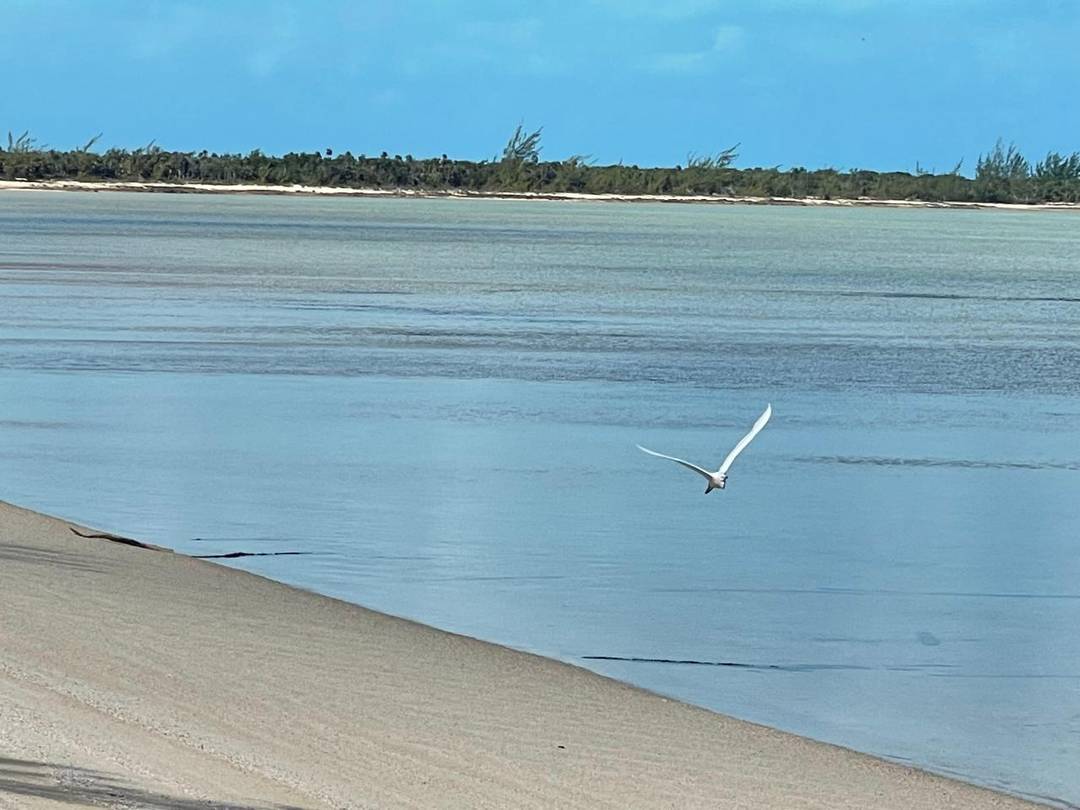 WEMYSS LONG ISLAND Land Long-Island-Bahamas