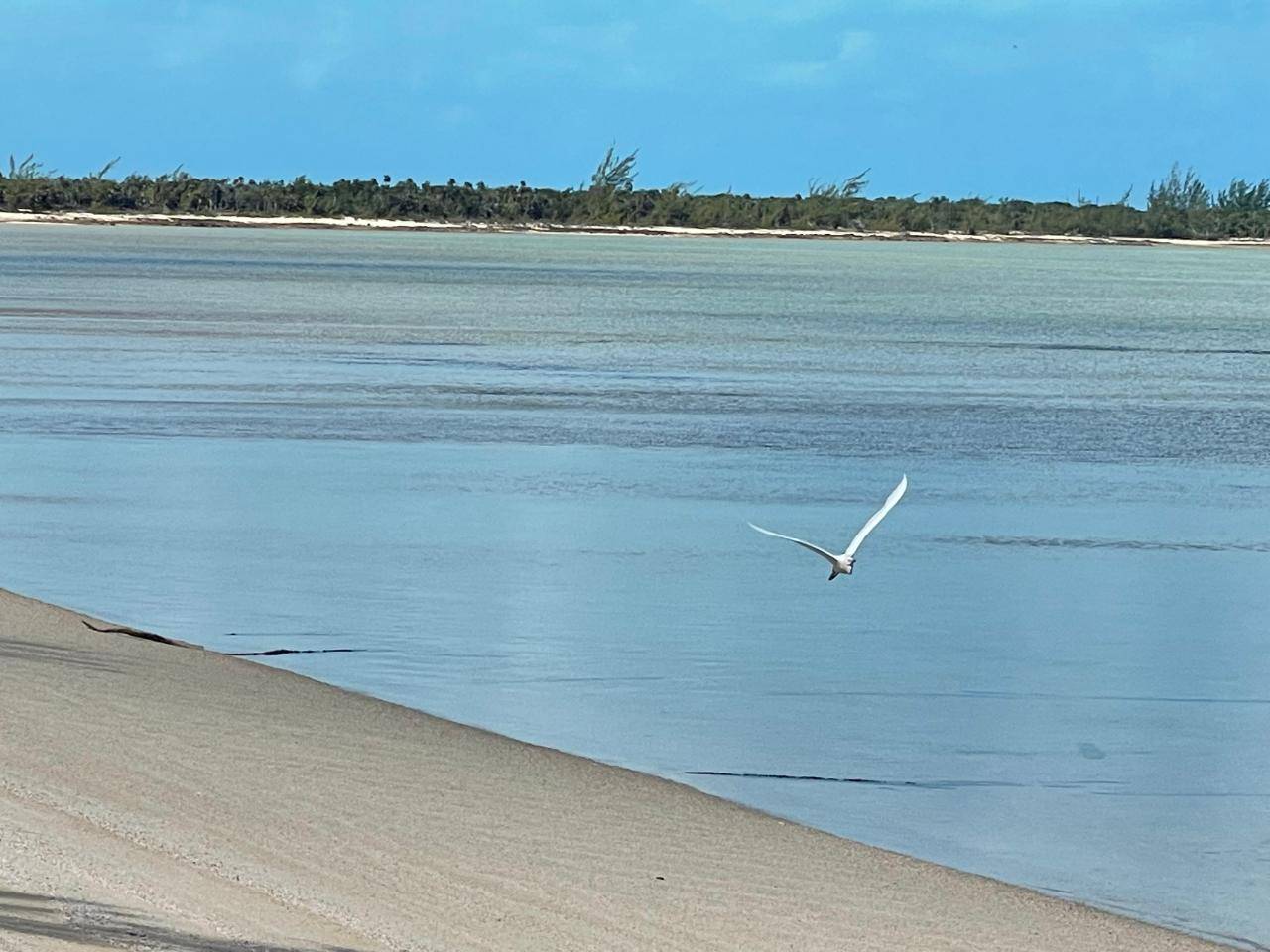 WEMYSS LONG ISLAND Land Long-Island-Bahamas